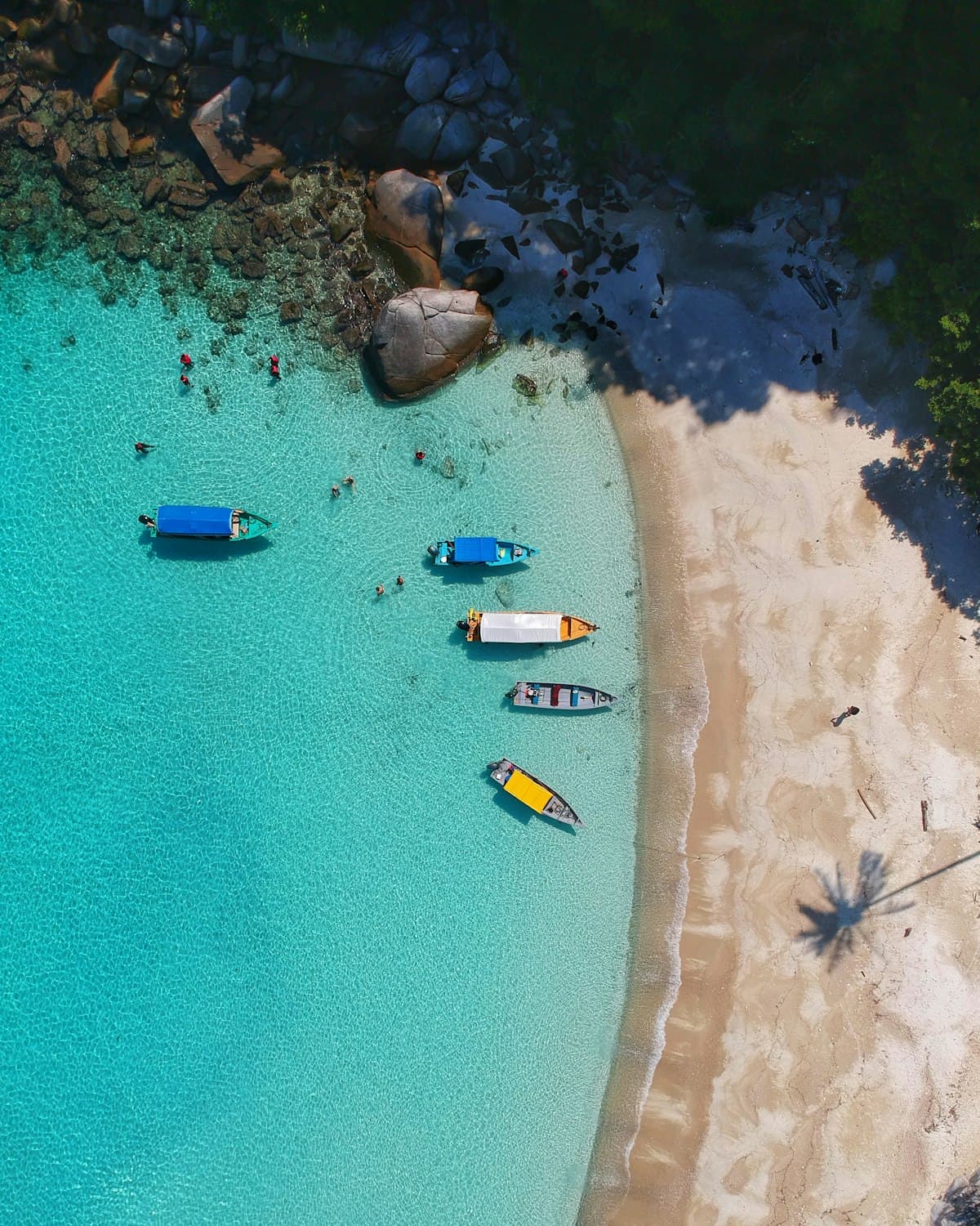 Vista aérea de una costa tropical con botes